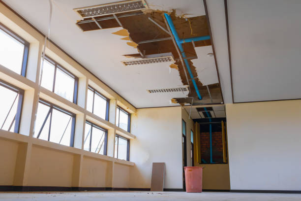 Best Flooded house restoration  in Pocasset, MA