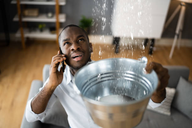 Best Water damage mitigation services  in Pocasset, MA