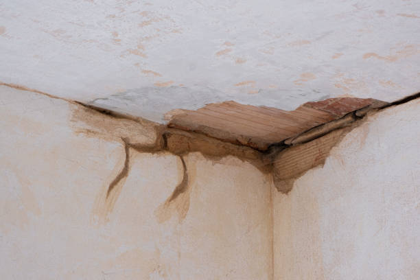 Best Water damage restoration specialists  in Pocasset, MA
