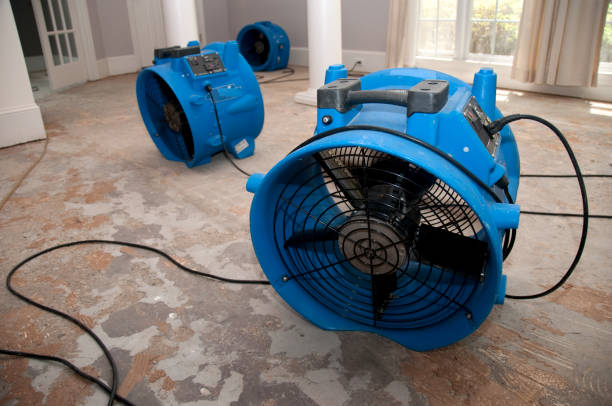 Best Professional water damage repair  in Pocasset, MA