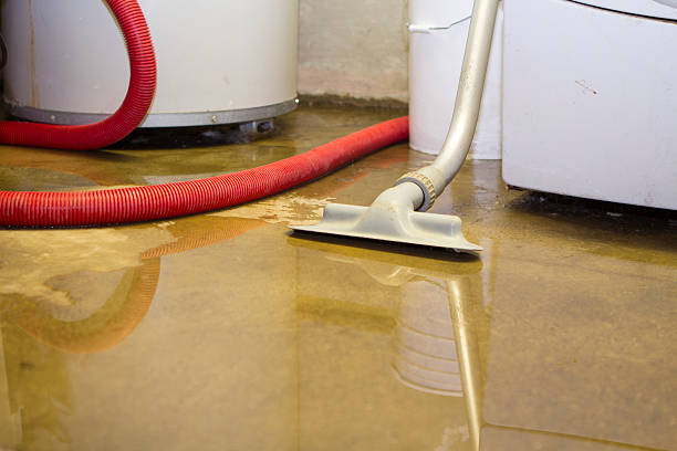 Best Carpet water damage restoration  in Pocasset, MA