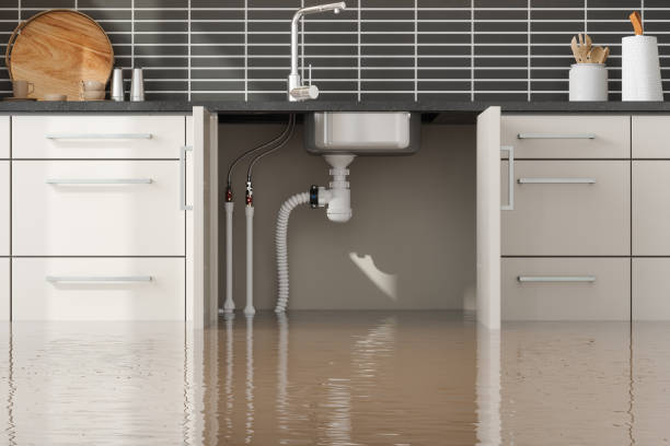 Best Water damage restoration process  in Pocasset, MA