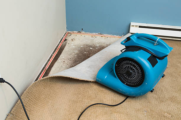 Best Emergency water damage restoration  in Pocasset, MA